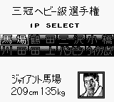 Zen-Nippon Pro Wrestling Jet Screenshot 1